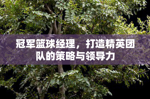 打造精英团队的策略与领导力图片