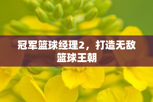 打造无敌篮球王朝图片