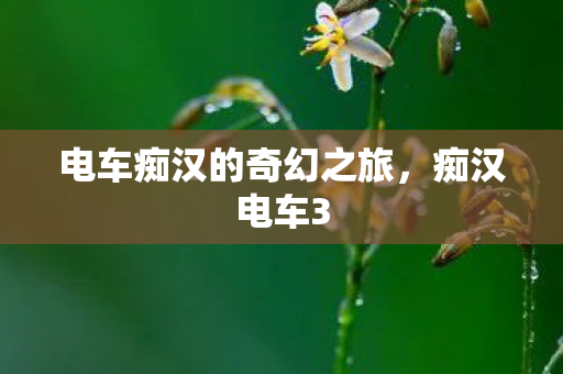 电车痴汉的奇幻之旅图片