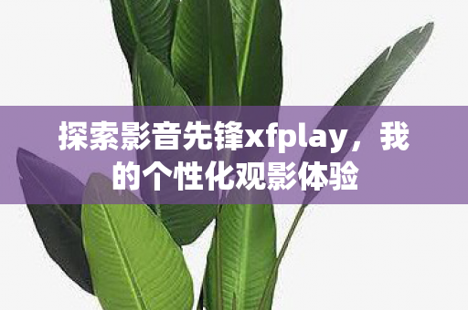 探索影音先锋xfplay图片