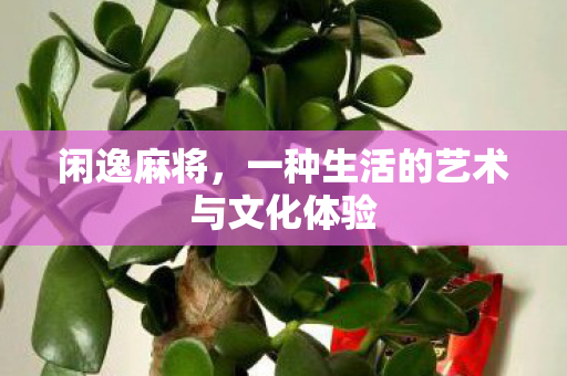 一种生活的艺术与文化体验图片