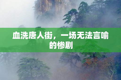 一场无法言喻的惨剧图片