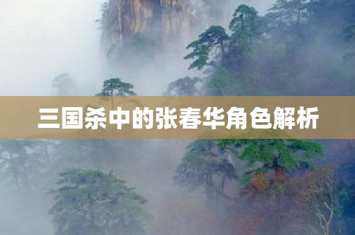 三国杀中的张春华角色解析图片