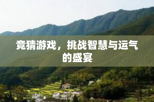挑战智慧与运气的盛宴图片