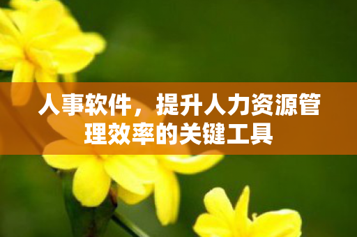 提升人力资源管理效率的关键工具图片