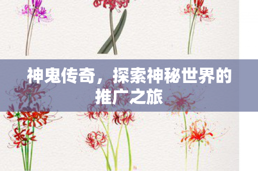 探索神秘世界的推广之旅图片