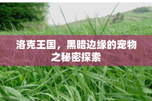 黑暗边缘的宠物之秘密探索图片