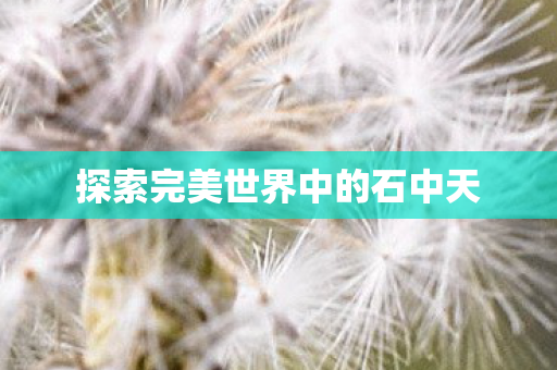 探索完美世界中的石中天图片