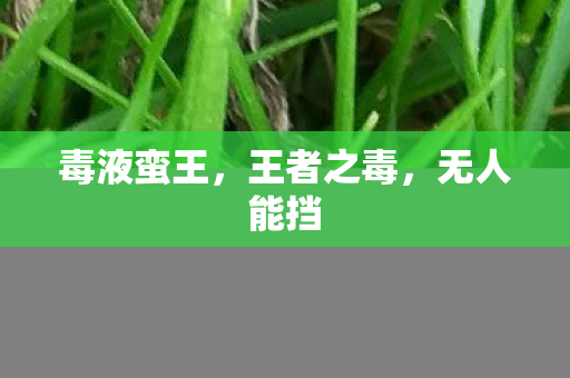 毒液蛮王图片