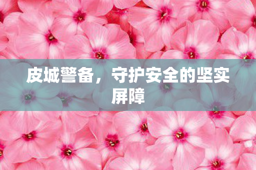 守护安全的坚实屏障图片
