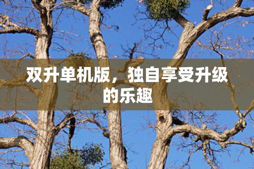 独自享受升级的乐趣图片