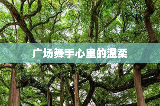 广场舞手心里的温柔图片
