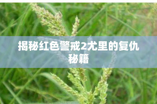 揭秘红色警戒2尤里的复仇秘籍图片