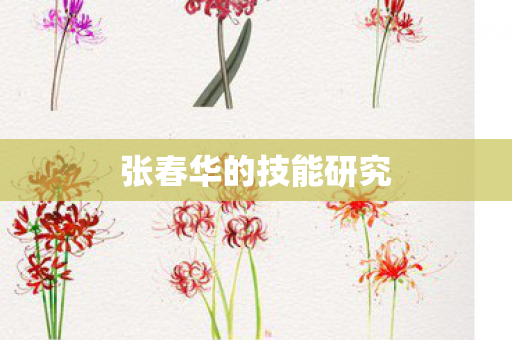 张春华的技能研究图片