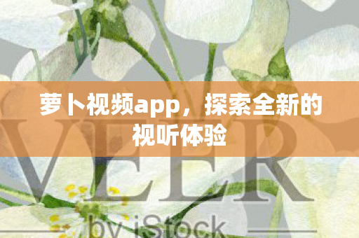 探索全新的视听体验图片