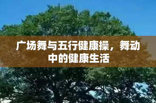 广场舞与五行健康操图片