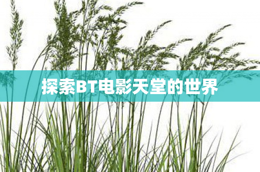 探索BT电影天堂的世界图片