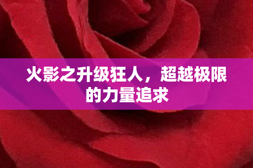 超越极限的力量追求图片