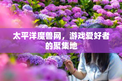 游戏爱好者的聚集地图片