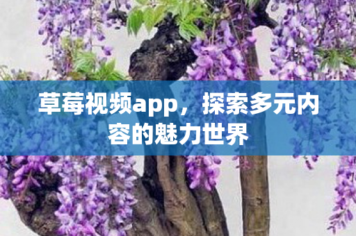 探索多元内容的魅力世界图片