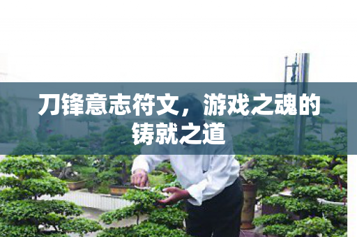 游戏之魂的铸就之道图片