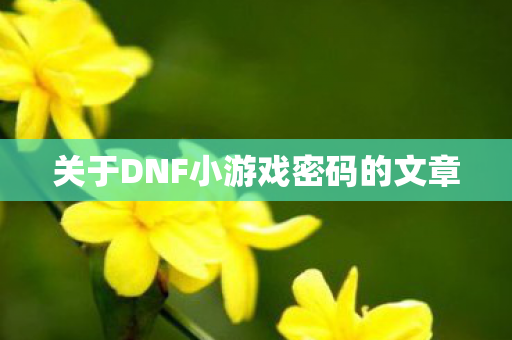 关于DNF小游戏密码的文章图片