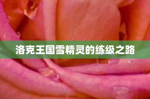 洛克王国雪精灵的练级之路图片