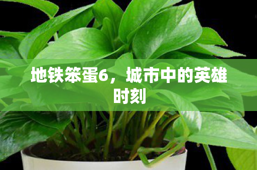 城市中的英雄时刻图片