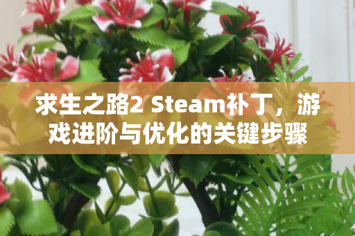 求生之路2 Steam补丁图片