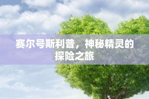 神秘精灵的探险之旅图片