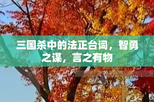 三国杀中的法正台词图片