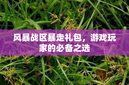 游戏玩家的必备之选图片