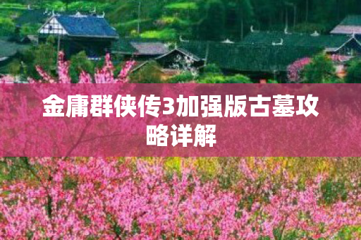金庸群侠传3加强版古墓攻略详解图片