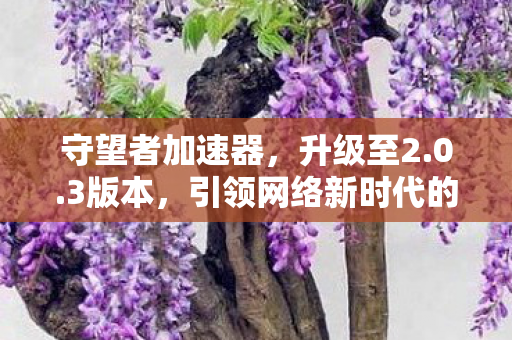 引领网络新时代的先锋图片