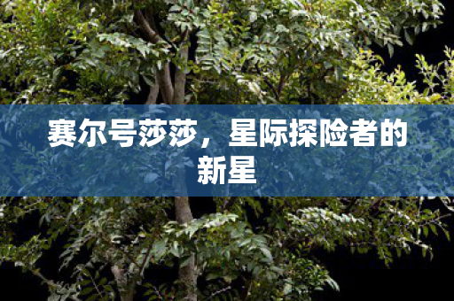 星际探险者的新星图片