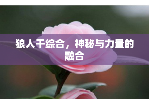 神秘与力量的融合图片
