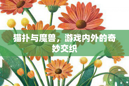 游戏内外的奇妙交织图片