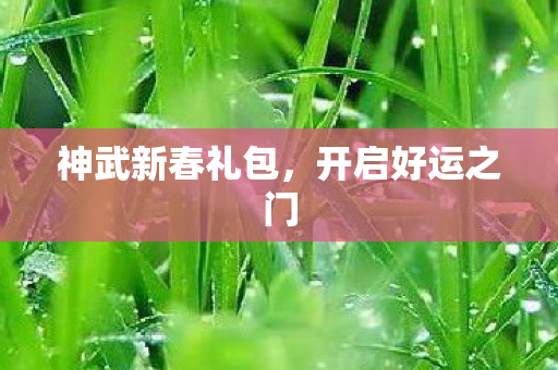 神武新春礼包图片