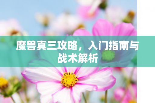 入门指南与战术解析图片