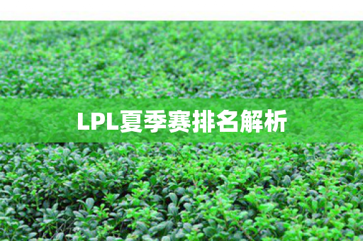 LPL夏季赛排名解析图片