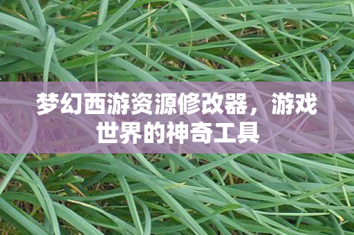 梦幻西游资源修改器图片
