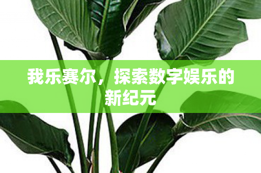探索数字娱乐的新纪元图片