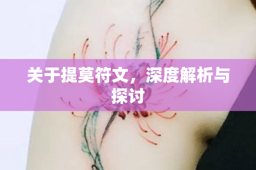 深度解析与探讨图片