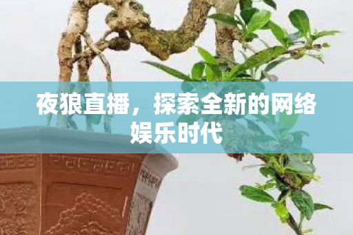 探索全新的网络娱乐时代图片