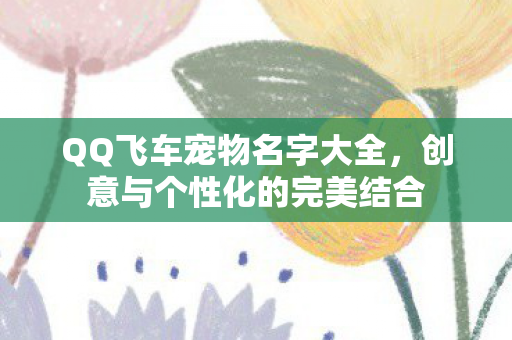 创意与个性化的完美结合图片