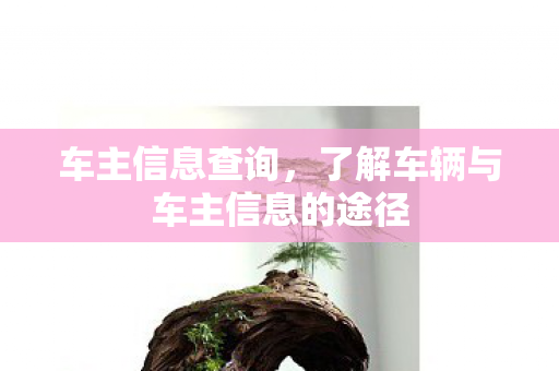 了解车辆与车主信息的途径图片