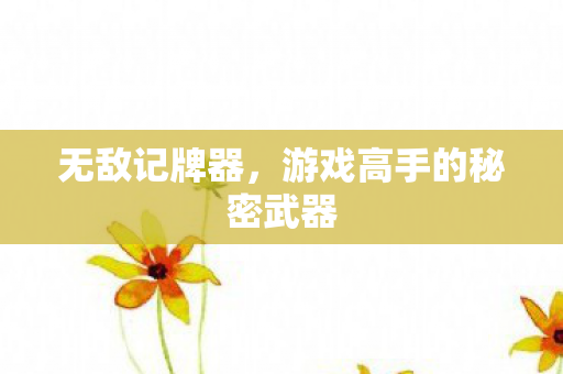 游戏高手的秘密武器图片