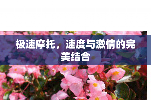 速度与激情的完美结合图片