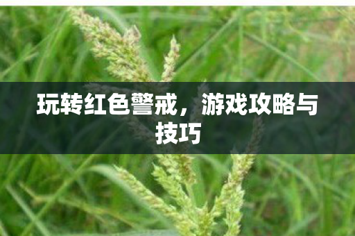 游戏攻略与技巧图片