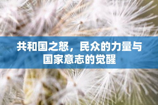 民众的力量与国家意志的觉醒图片